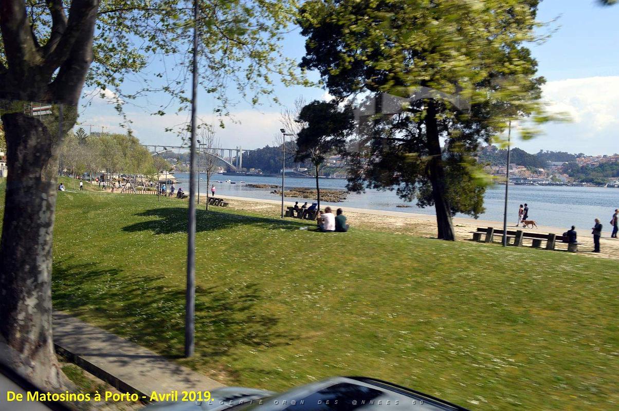 0822 - De Matosinhos a Porto.JPG